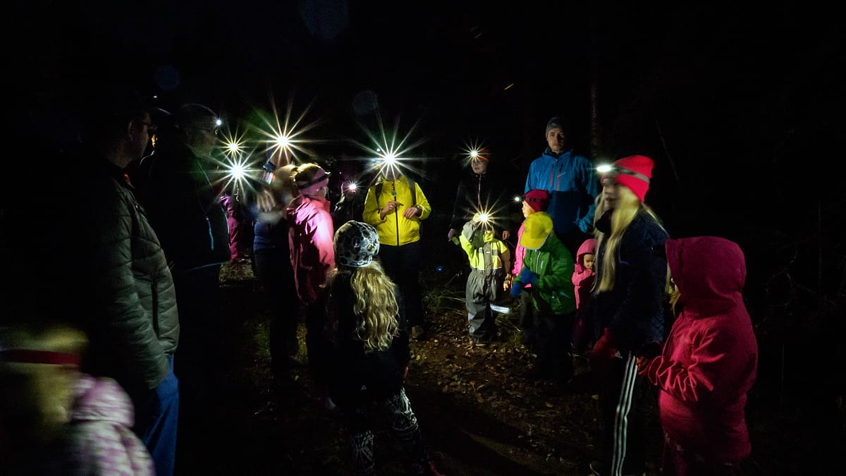 Aikuisia ja lapsia otsalamppujen kanssa pimeässä luonnossa. Kuva Sampsa Sulonen Suomen Latu